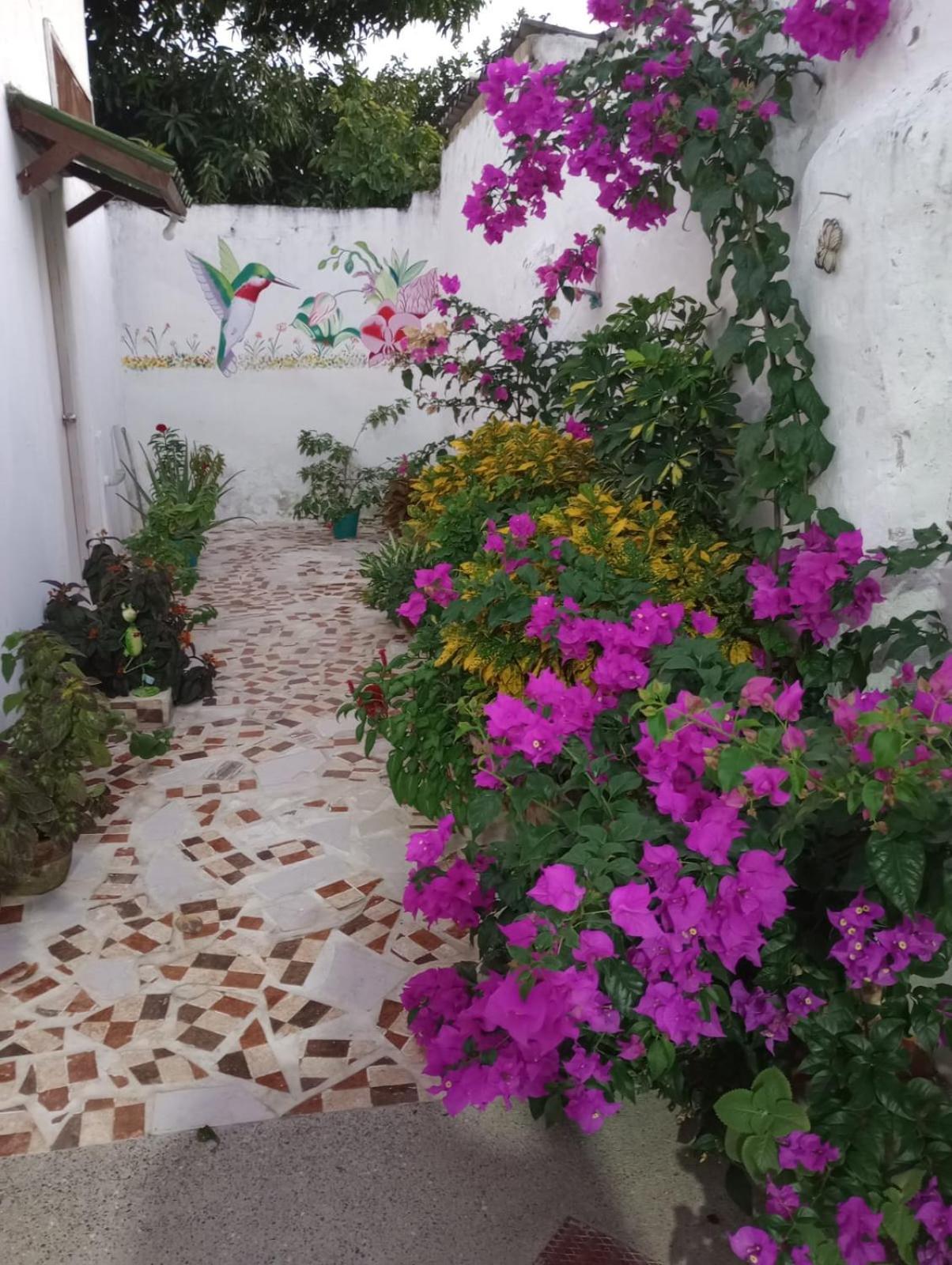 Hospedaje Casa Pachi En Cartagena De Indias Екстер'єр фото